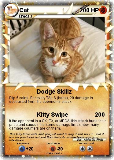 Pokemon Cat