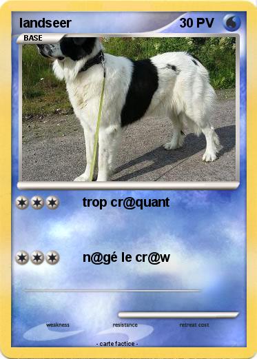 Pokemon landseer