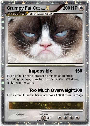 Pokemon Grumpy Fat Cat