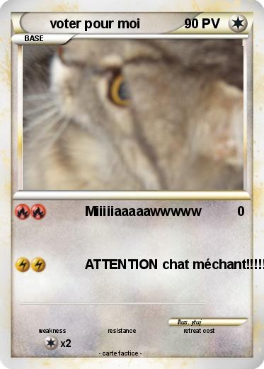 Pokemon voter pour moi