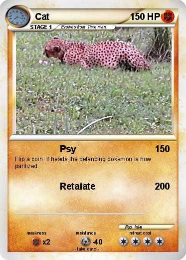 Pokemon Cat
