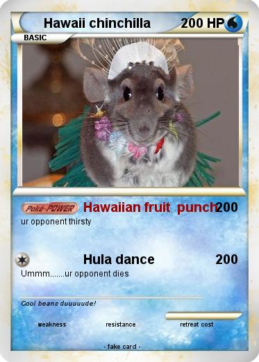 Pokemon Hawaii chinchilla