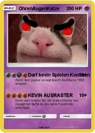 Pokemon OhrenAugenKatze