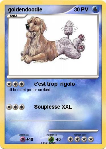 Pokemon goldendoodle