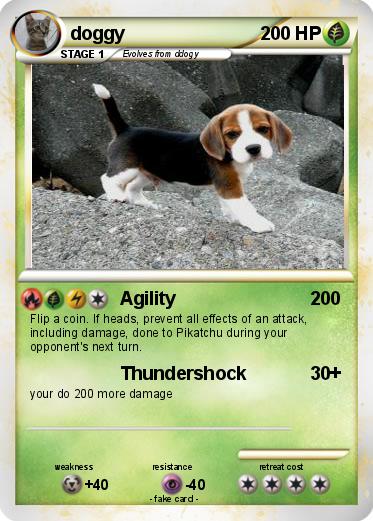 Pokemon doggy