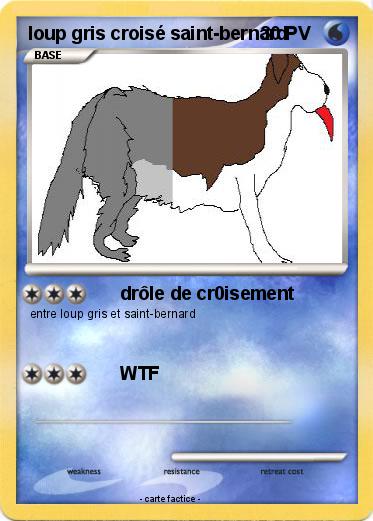 Pokemon loup gris croisé saint-bernard