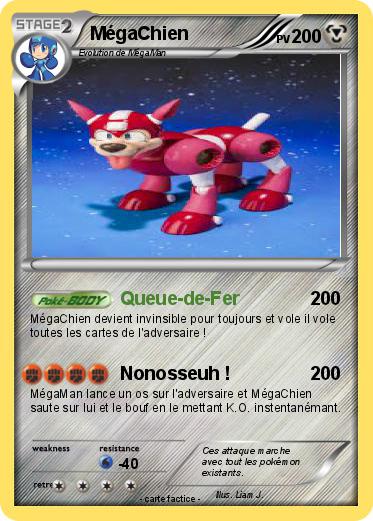 Pokemon MégaChien