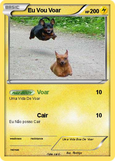 Pokemon Eu Vou Voar