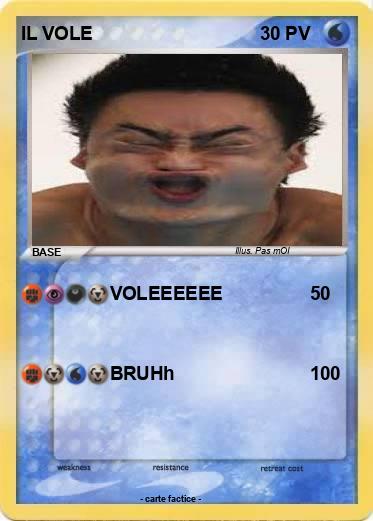 Pokemon IL VOLE