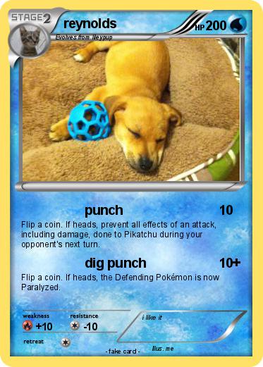 Pokemon reynolds