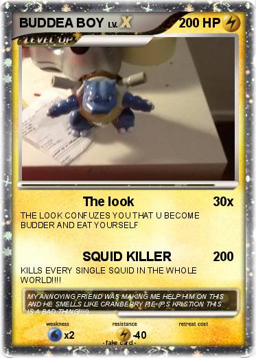 Pokemon BUDDEA BOY