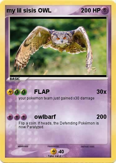 Pokemon my lil sisis OWL