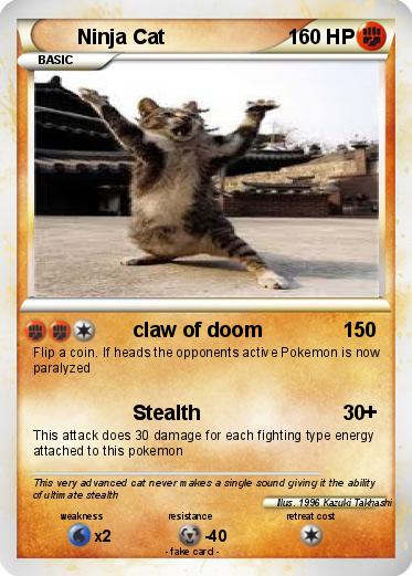 Pokemon Ninja Cat