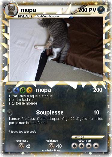 Pokemon mopa