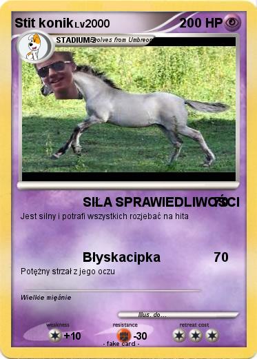 Pokemon Stit konik