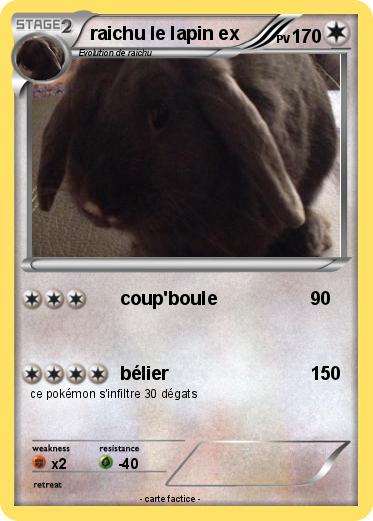 Pokemon raichu le lapin ex