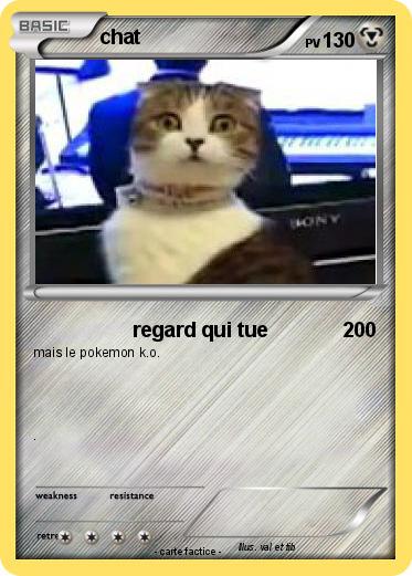 Pokemon chat