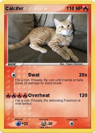 Pokemon Calcifer