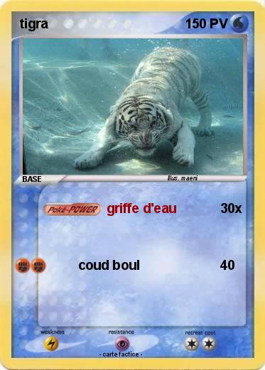 Pokemon tigra