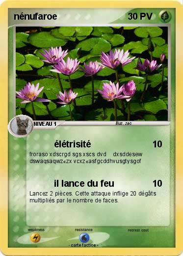 Pokemon nénufaroe