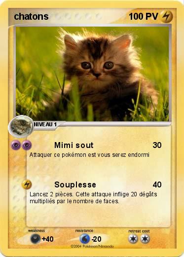 Pokemon chatons