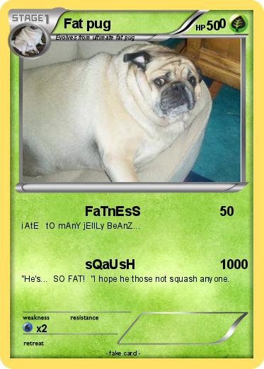 Pokemon Fat pug                              0