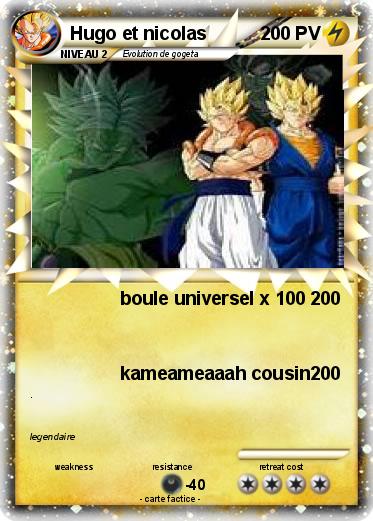 Pokemon Hugo et nicolas