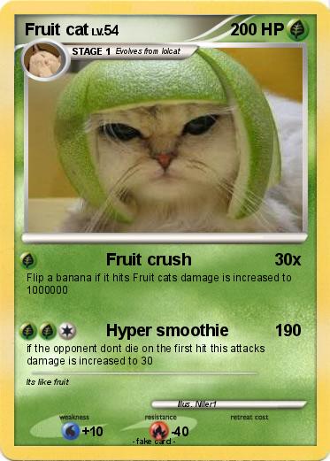 Pokemon Fruit cat
