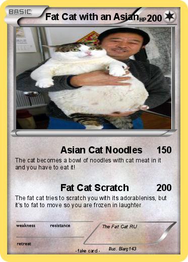 Pokemon Fat Cat with an Asian