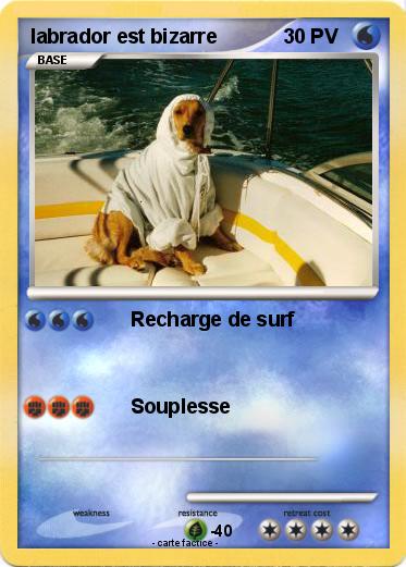 Pokemon labrador est bizarre