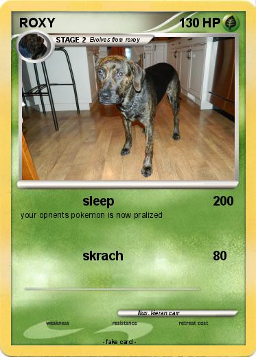 Pokemon ROXY
