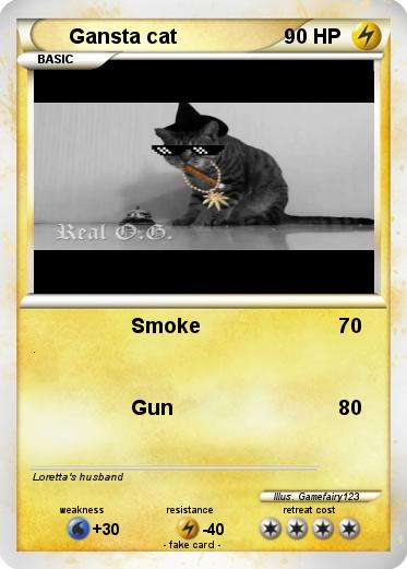 Pokemon Gansta cat