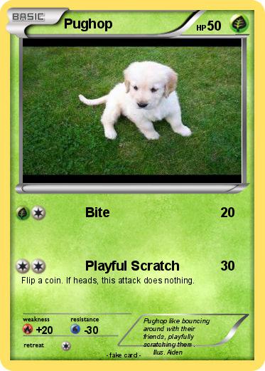 Pokemon Pughop
