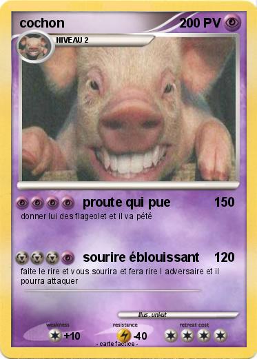 Pokemon cochon