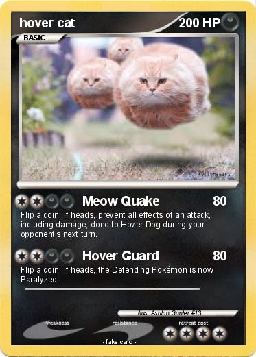 Pokemon hover cat