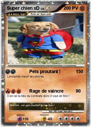 Pokemon Super chien xD