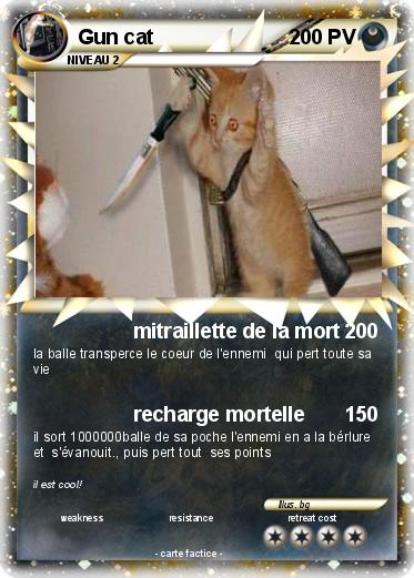 Pokemon Gun cat