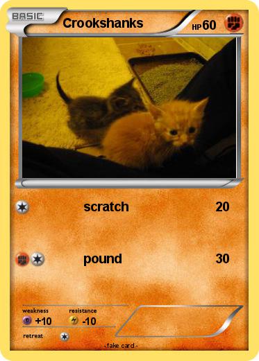 Pokemon Crookshanks
