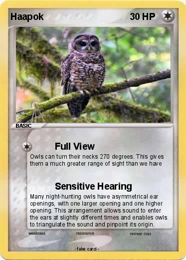 Pokemon Haapok