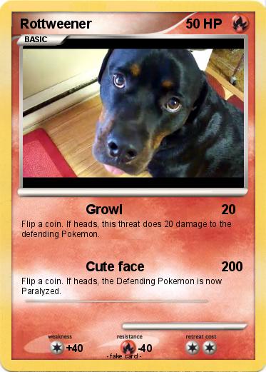 Pokemon Rottweener