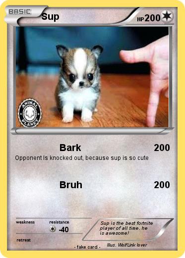 Pokemon Sup