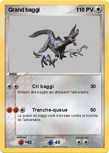 Pokemon Grand baggi