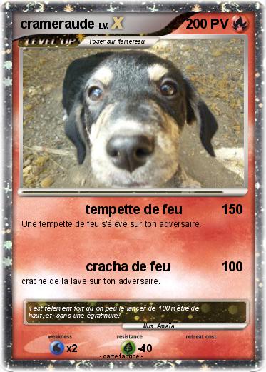 Pokemon crameraude