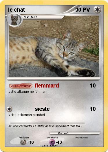 Pokemon le chat