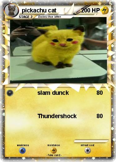 Pokemon pickachu cat