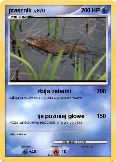 Pokemon ptasznik
