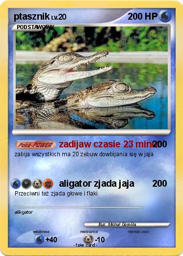 Pokemon ptasznik