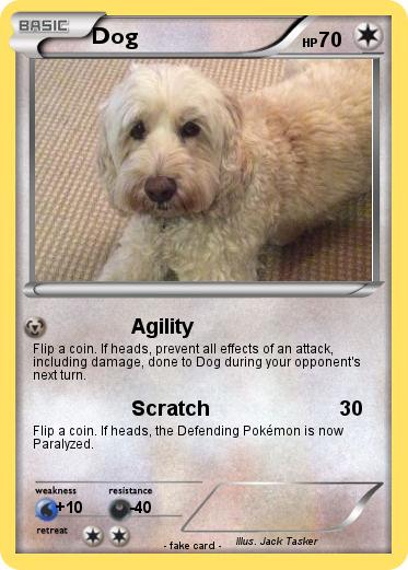 Pokemon Dog