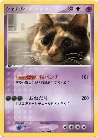 Pokemon シャルル