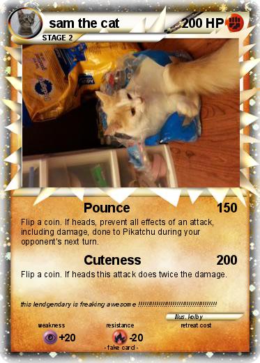 Pokemon sam the cat